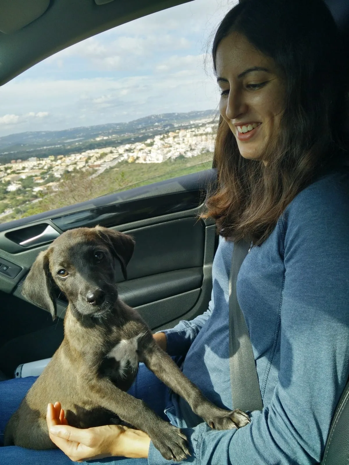 Mosfet as a puppy in the car